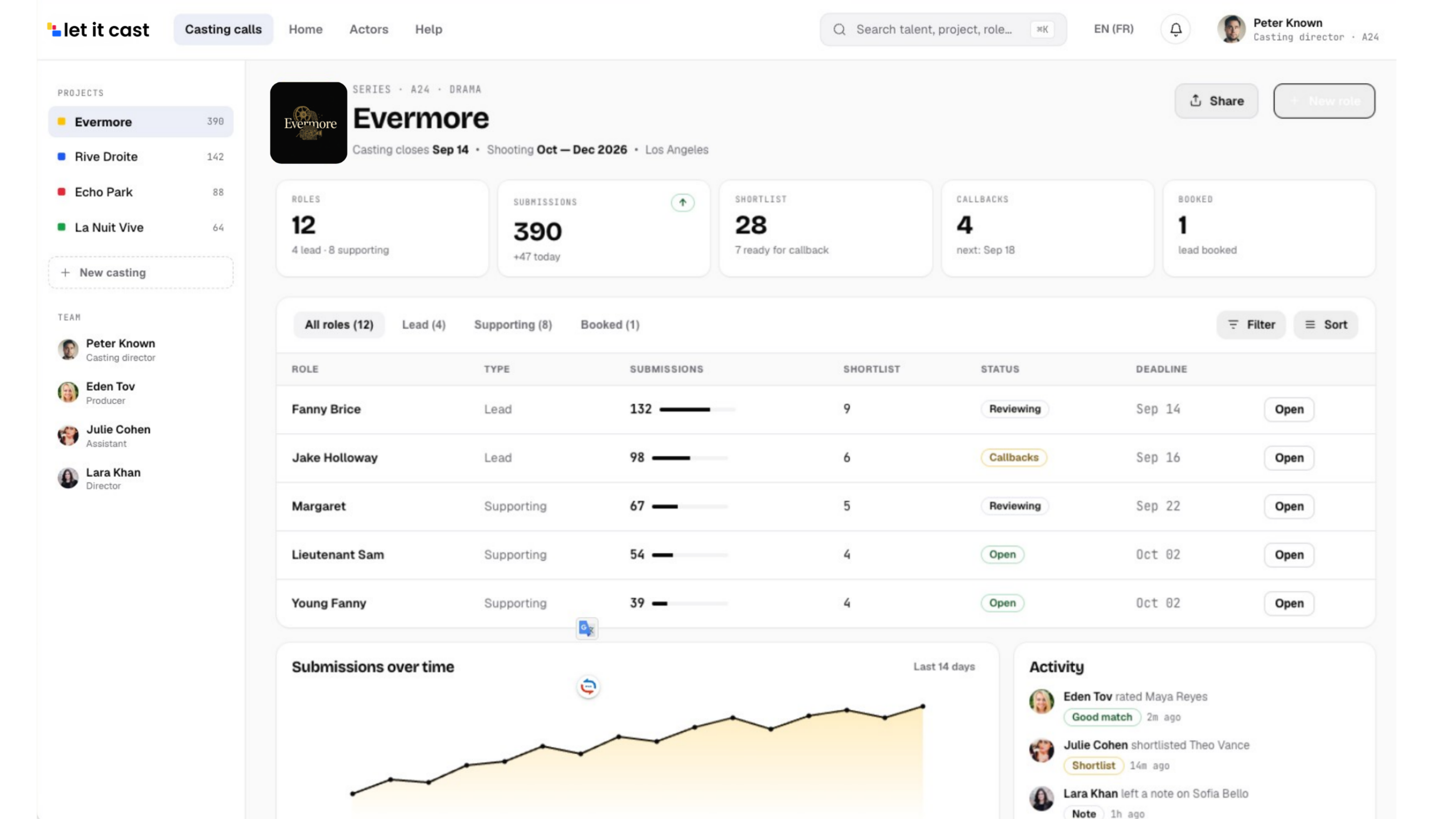 Casting dashboard — Evermore project overview